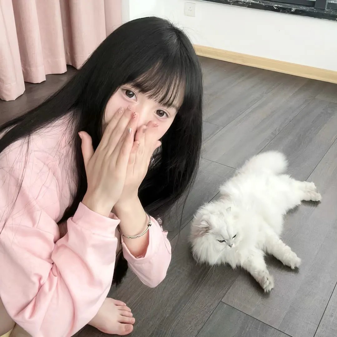 哥斯拉对美加洛