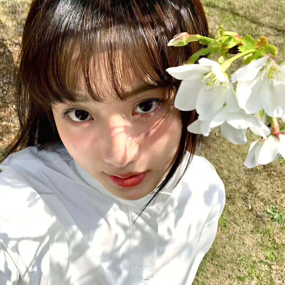 黑玫瑰